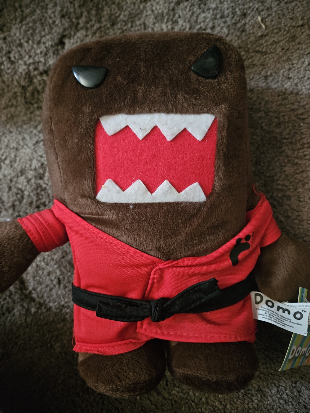 Karate Domo